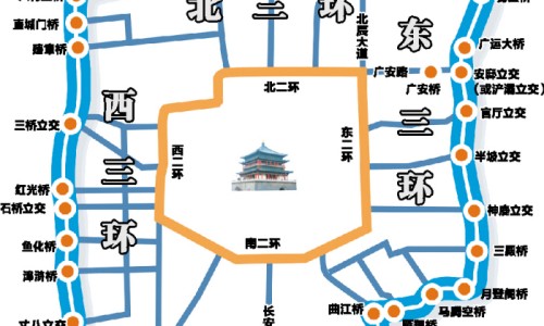 千斤拔图片与功效-千斤拔的药物功效网 - 为你提供千斤拔图片与功效、千斤拔图片与功效
