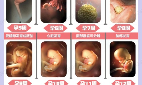 千斤拔有壮阳功效吗-千斤拔的药物功效网 - 为你提供千斤拔图片与功效、千斤拔图片与功效